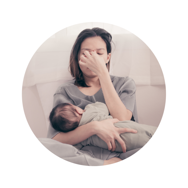 Le Concept - Supplément Maca - La cuisine du Post-Partum - traiteur post partum