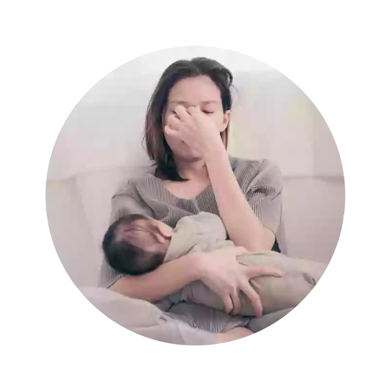 Le Concept - Supplément Maca - La cuisine du Post-Partum - Commander